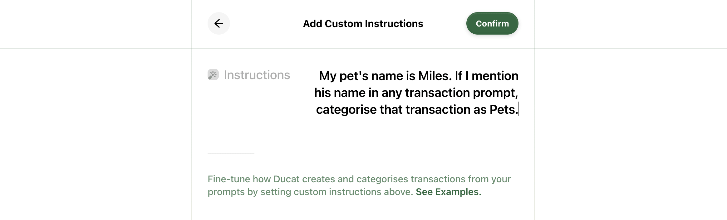 Custom instructions